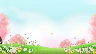 Animaux & Nature